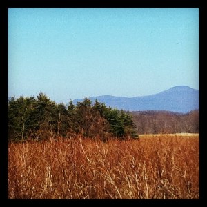 e56f75ac72ab11e1b9f1123138140926_7