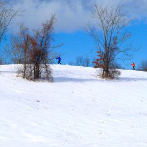 531940_10100400508704157_1556203256_n