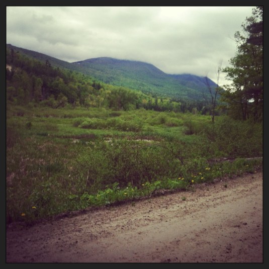 Yes, I stopped mid race to take a picture.