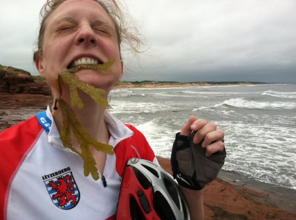 Sea greens: incredible sources of minerals and vitamins