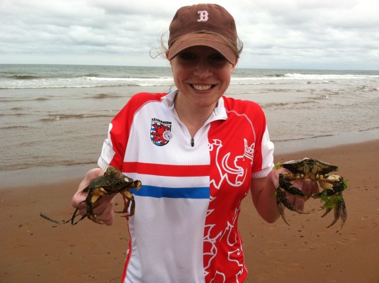 Crabs! On a red sand beach