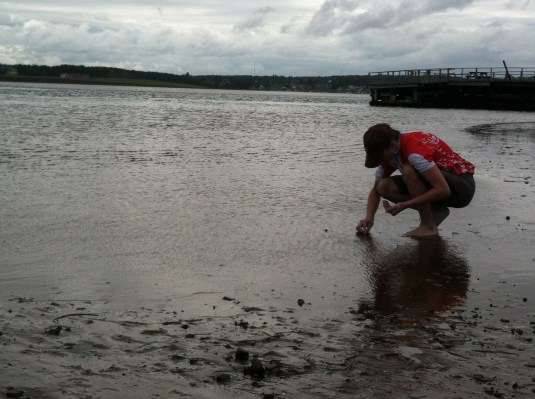 Looking for seashells
