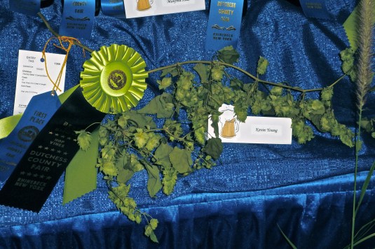 Kevin's Blue Ribbon Hops: Best in Show