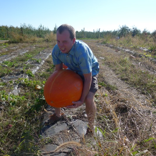 We found the really big pumpkins.