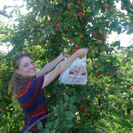 I let the tree do most of the work...