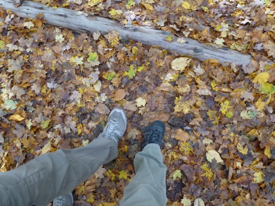 Love is when one person falls into stride with another.