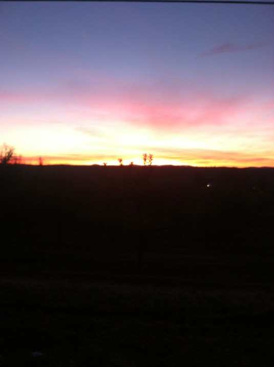 What I'm thankful for: reminders on my way to work not to sweat the small stuff