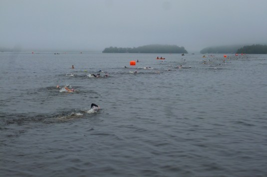 Just keep swimming...