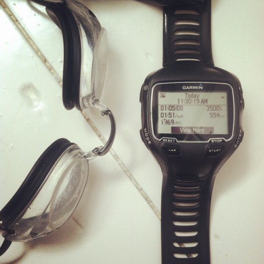 Training is really coming along.