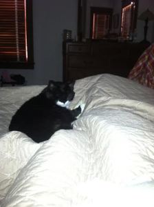 Lucky resting with me.