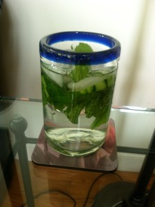 My new addiction: water with mint and cucumber (and, I don't even like cucumber!)