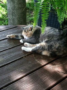 How I feel after a long training day...