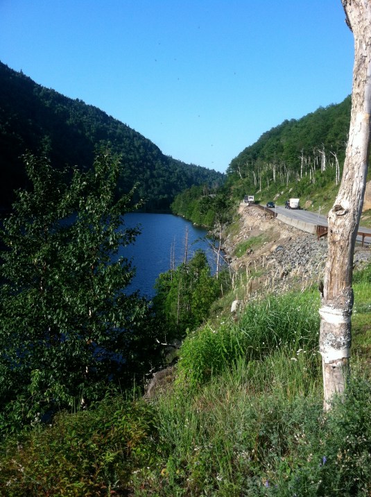 Looking back at part of the Keene descent (not on race day!)