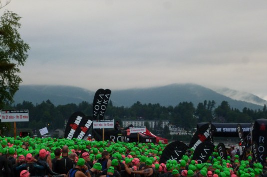 Sea of green and pink